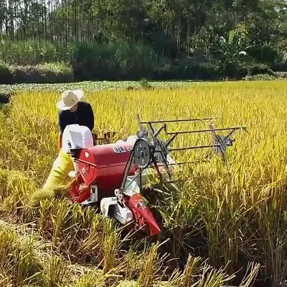 Automatic 13HP New Wheat Rice  - огляд і ціна Combine Harvester Mini