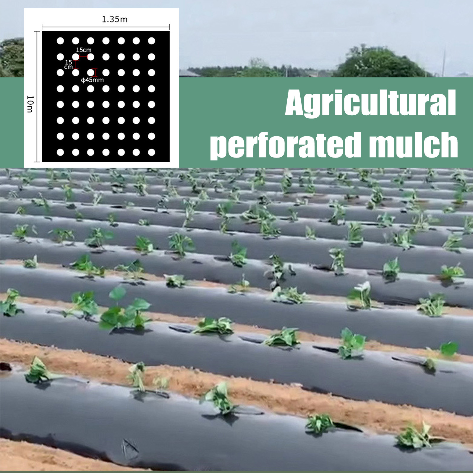 PE Perforated Mulch Film Farm  - огляд і ціна Greenhouse Plastic Film